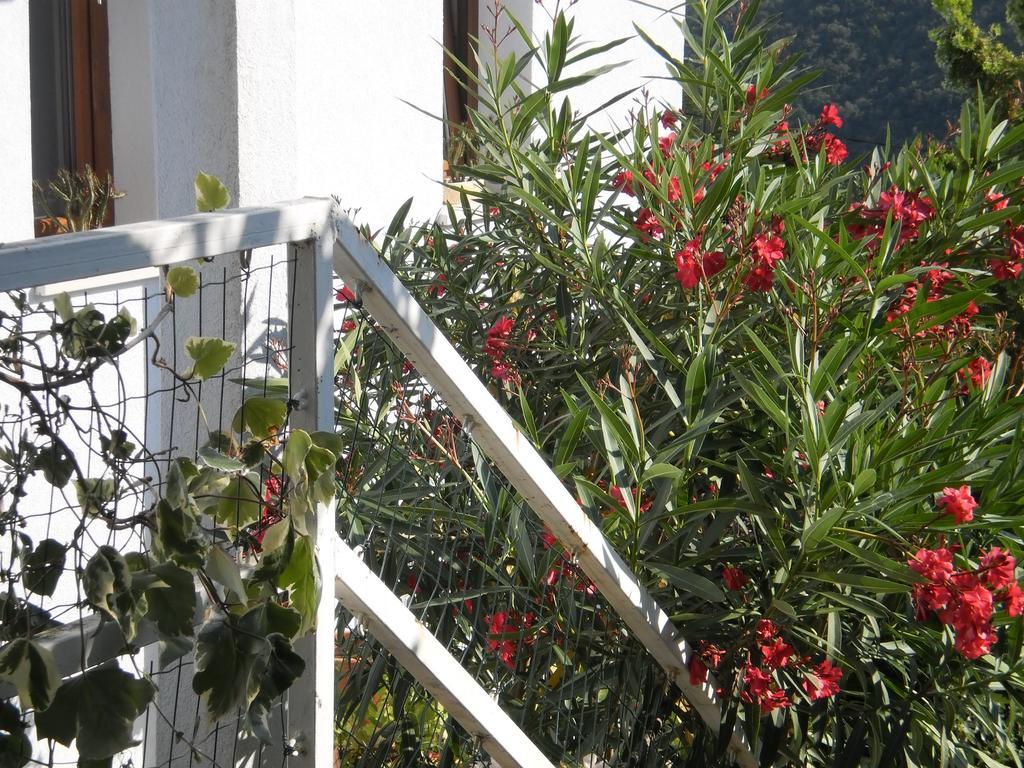 Apartment Haldej Moscenicka Draga Bilik gambar