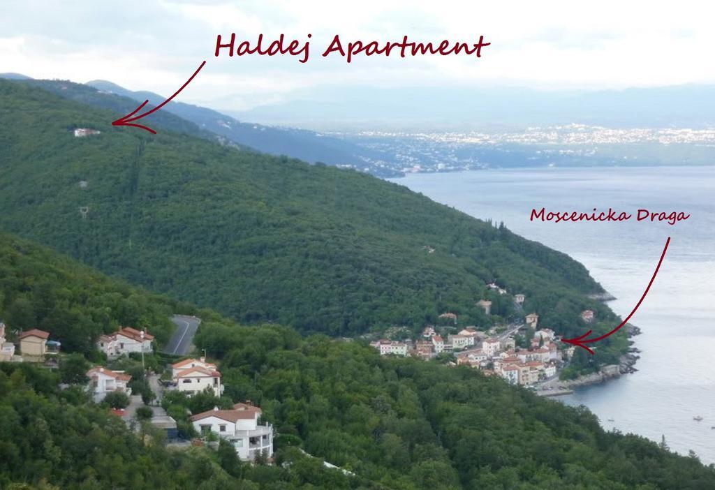 Apartment Haldej Moscenicka Draga Bilik gambar